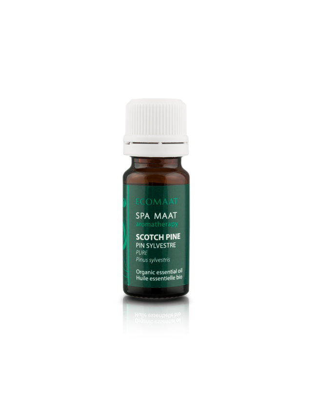 Scotch Pine Essential Oil 1