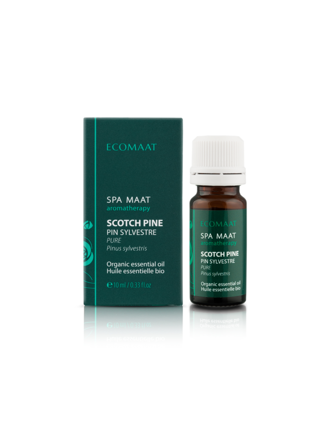 Scotch Pine Essential Oil 2