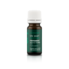 Peppermint Essential Oil - 1
